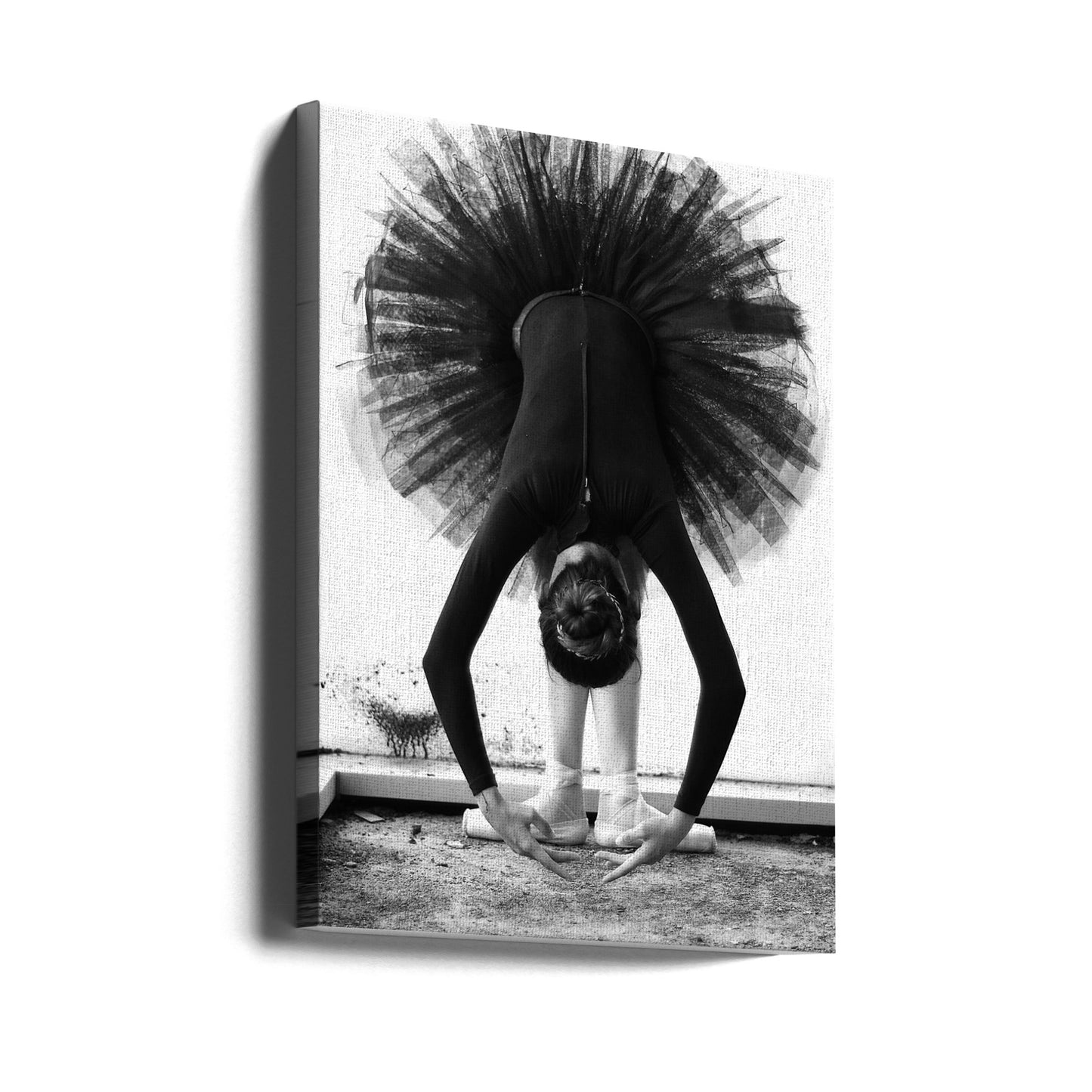 Ballerina | Canvastaulut