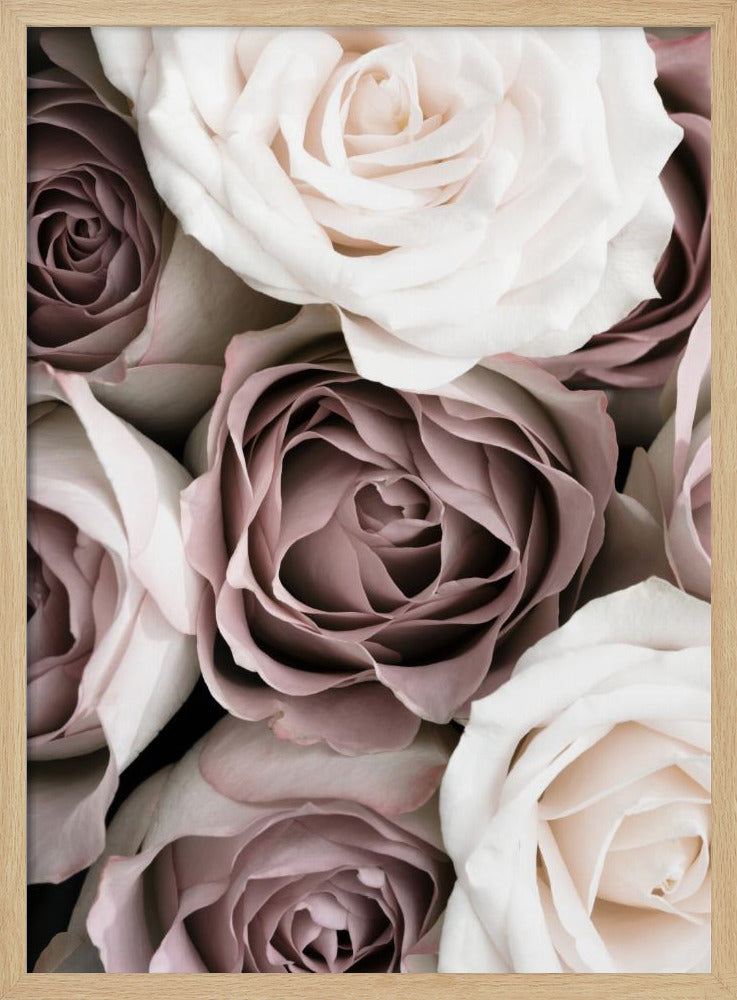 Roses | Poster