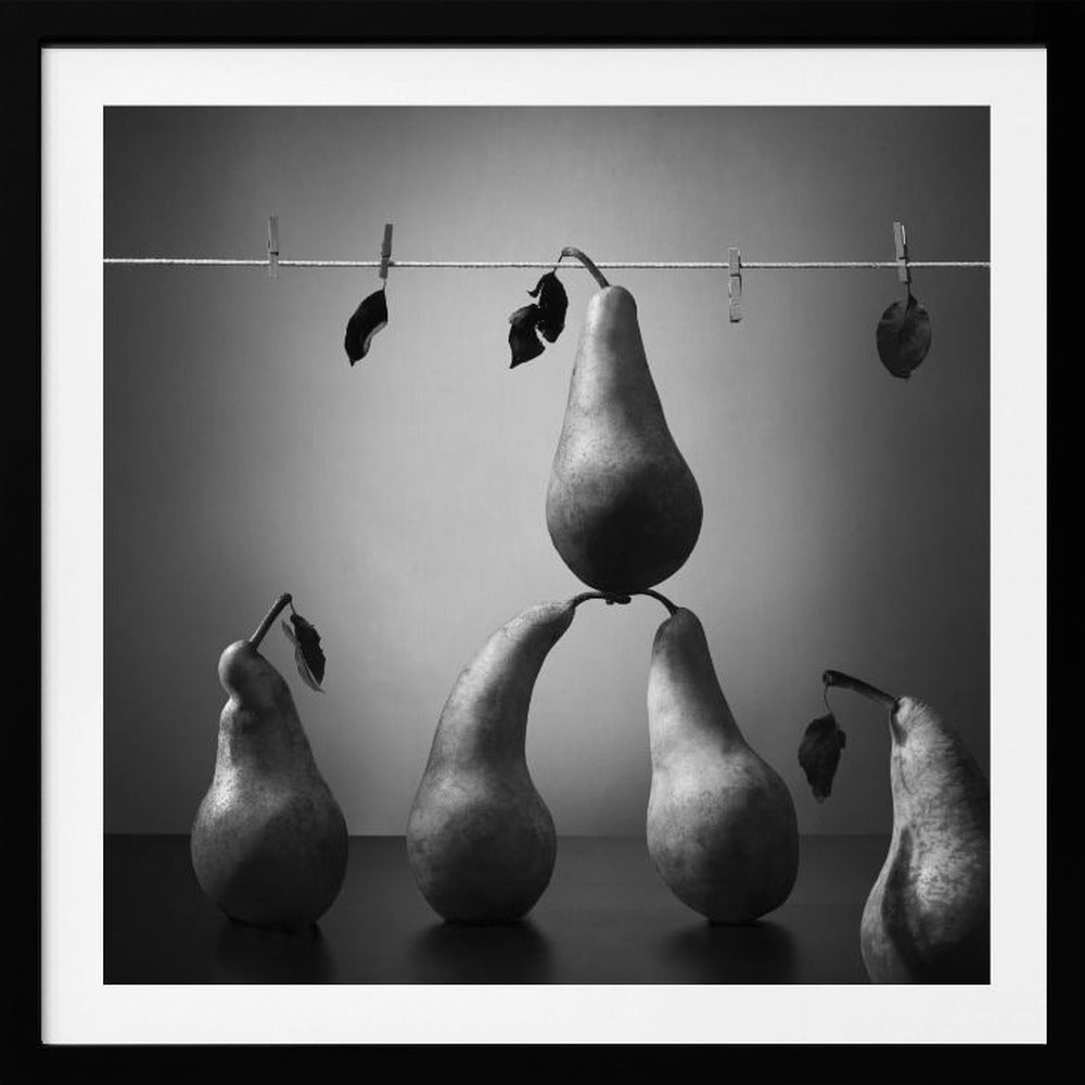 Pese ja kuivaa | Julisteet - Taidevedokset