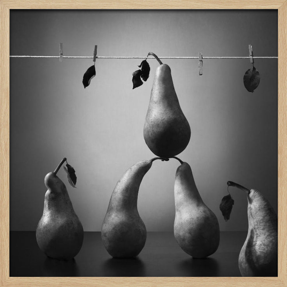 Pese ja kuivaa | Julisteet - Taidevedokset