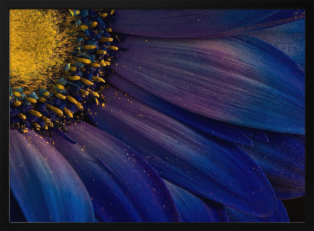 Blaue Strahlen | Poster - Kunstdruck