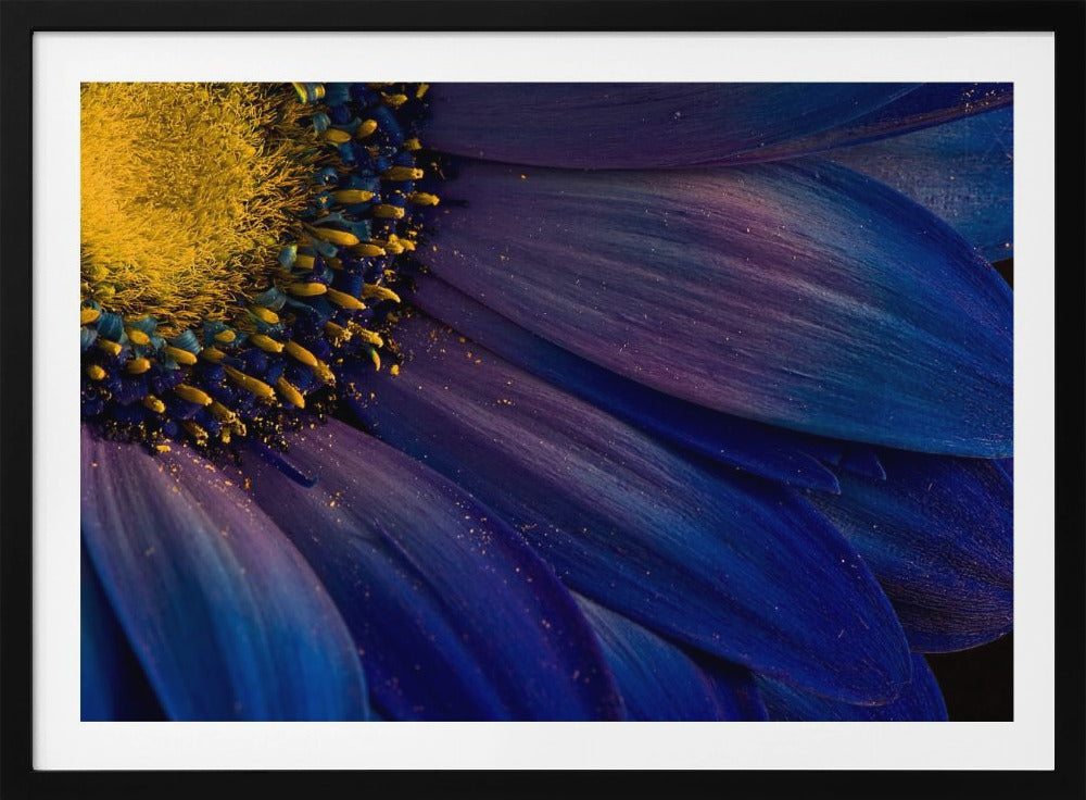 Blaue Strahlen | Poster - Kunstdruck