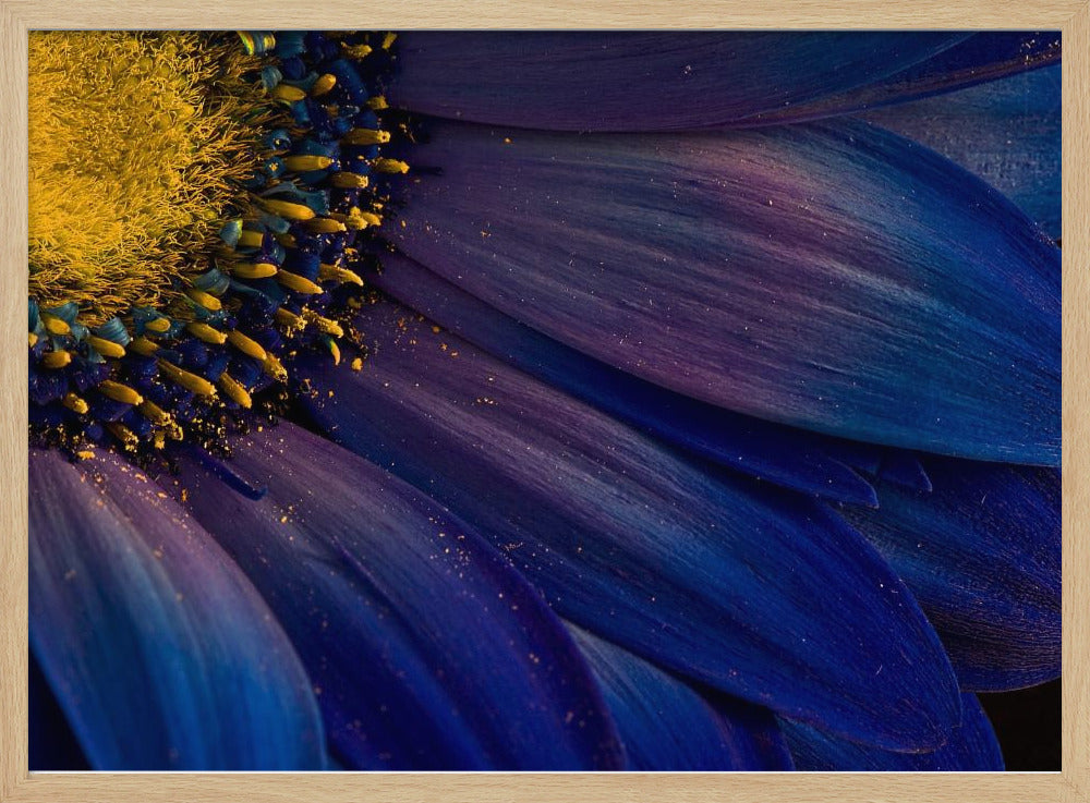 Blaue Strahlen | Poster - Kunstdruck