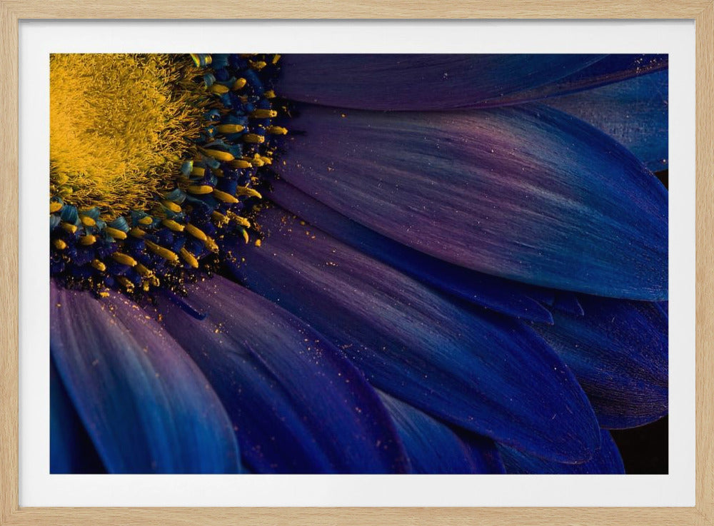 Blaue Strahlen | Poster - Kunstdruck