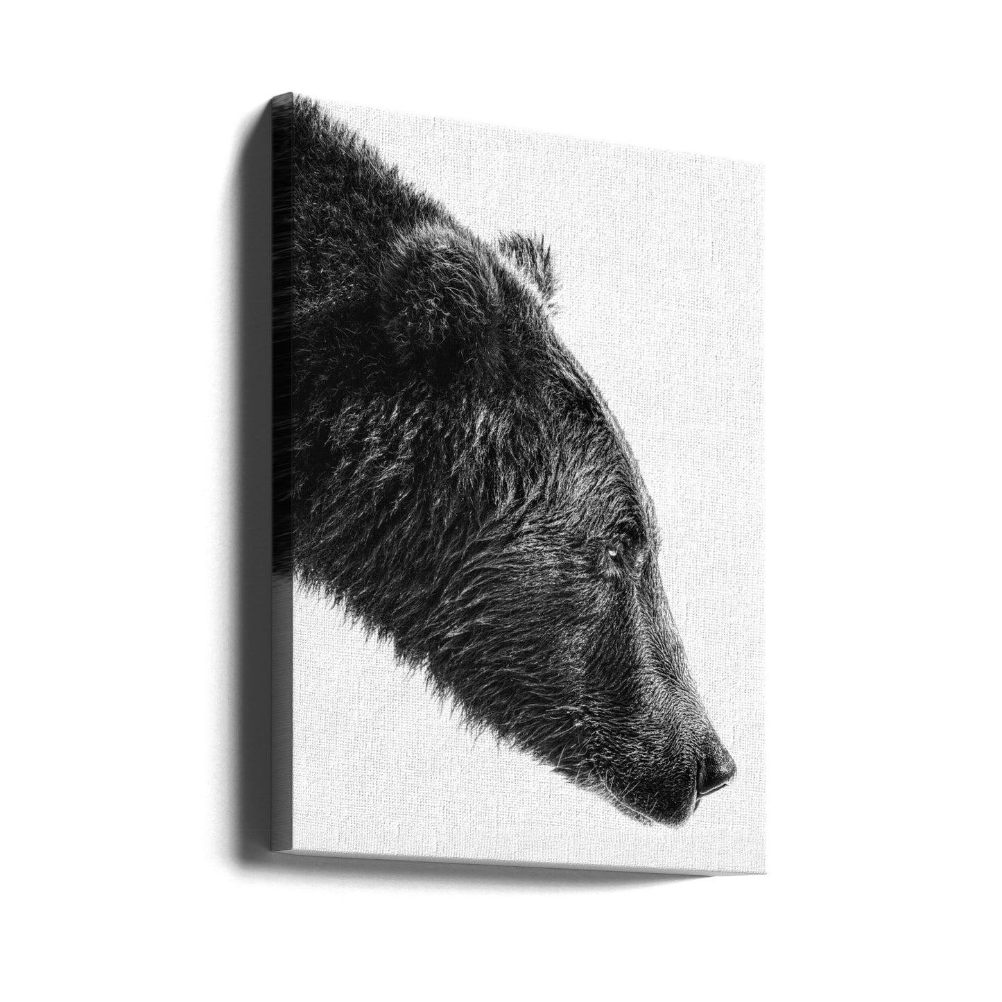 The Salmon Catcher | Canvas