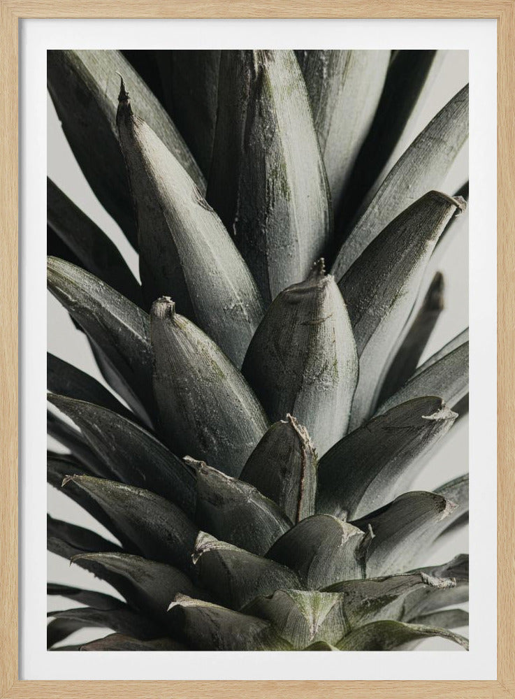 Pineapple close up | Poster