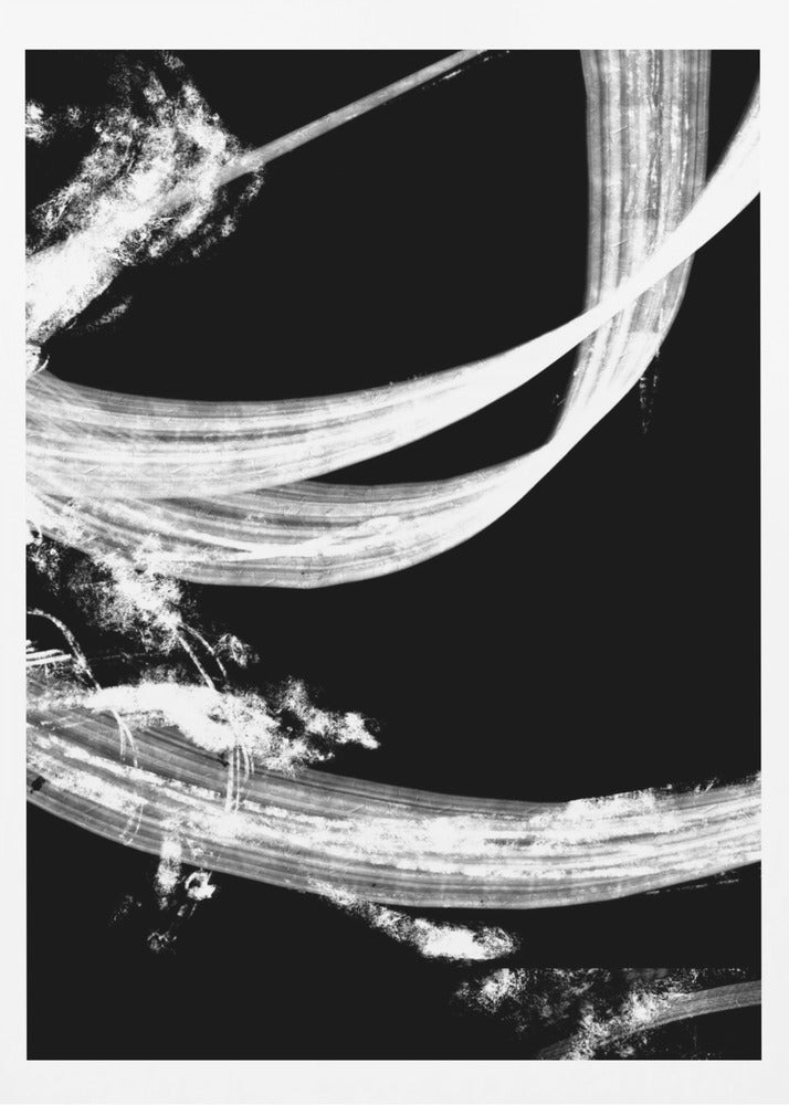 negatives_006_tapestry | Poster
