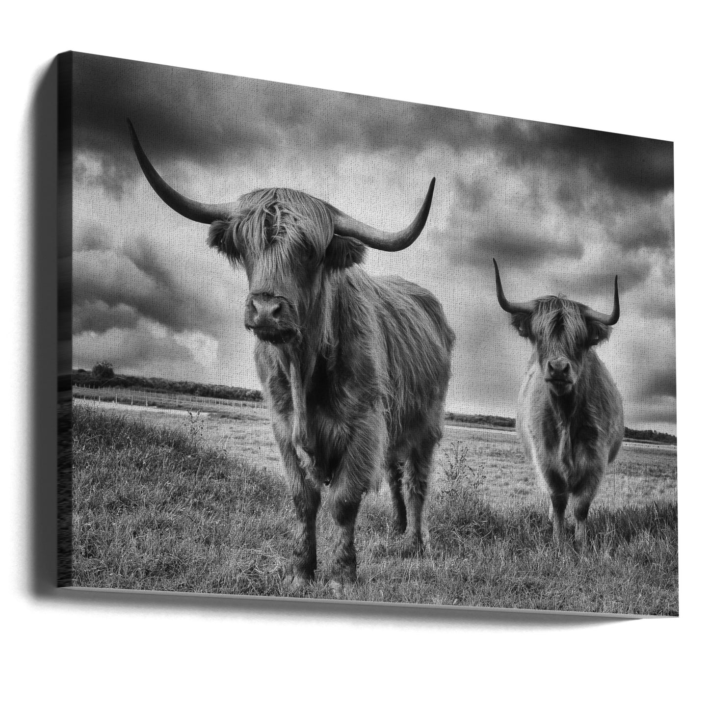 Hochland | Leinwand-Bilder