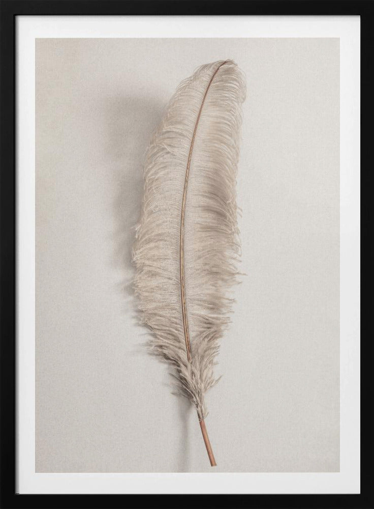 Feather_002 | Poster