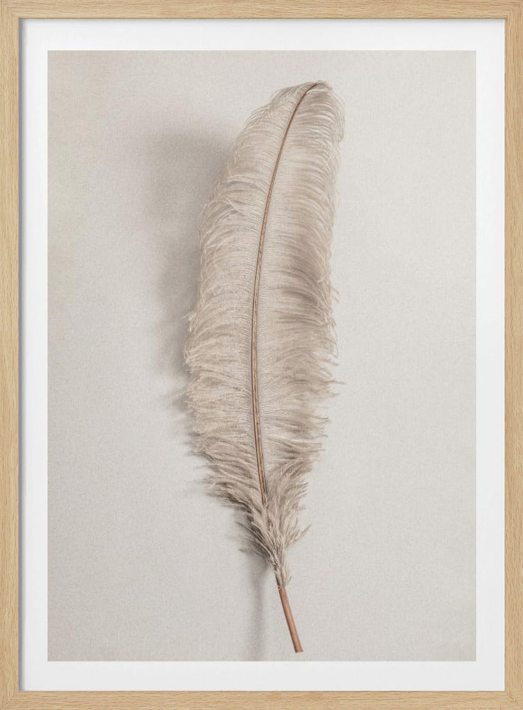 Feather_002 | Poster
