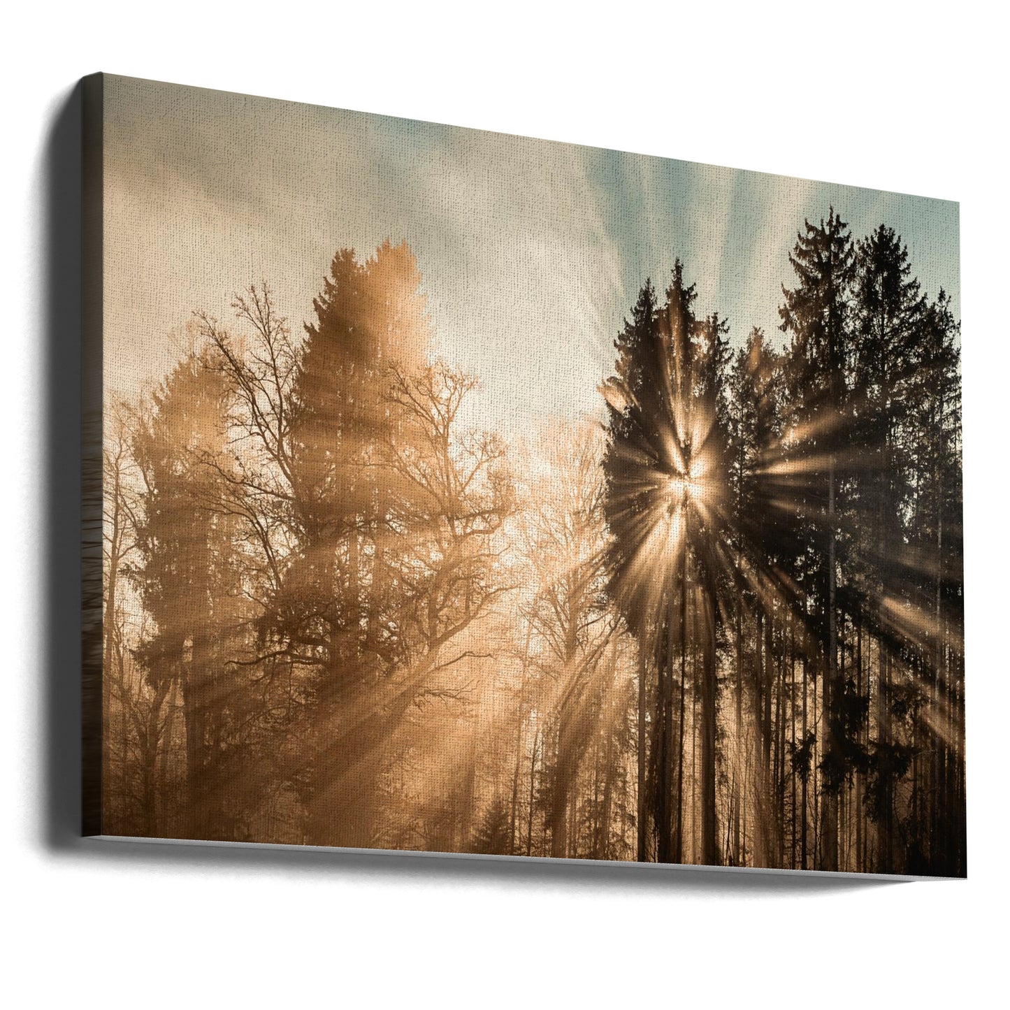 Desvaneciéndose Impresiones en Lienzo