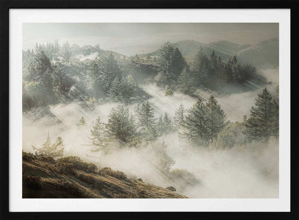 Silver White Winter that Melts into Spring | Poster