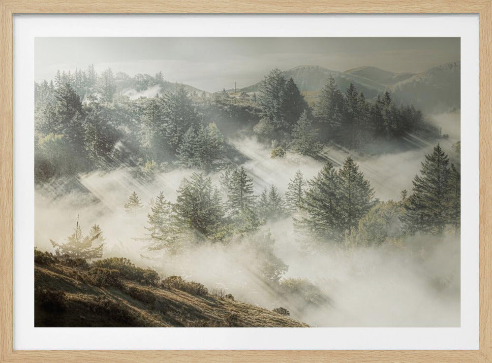 Silver White Winter that Melts into Spring | Poster