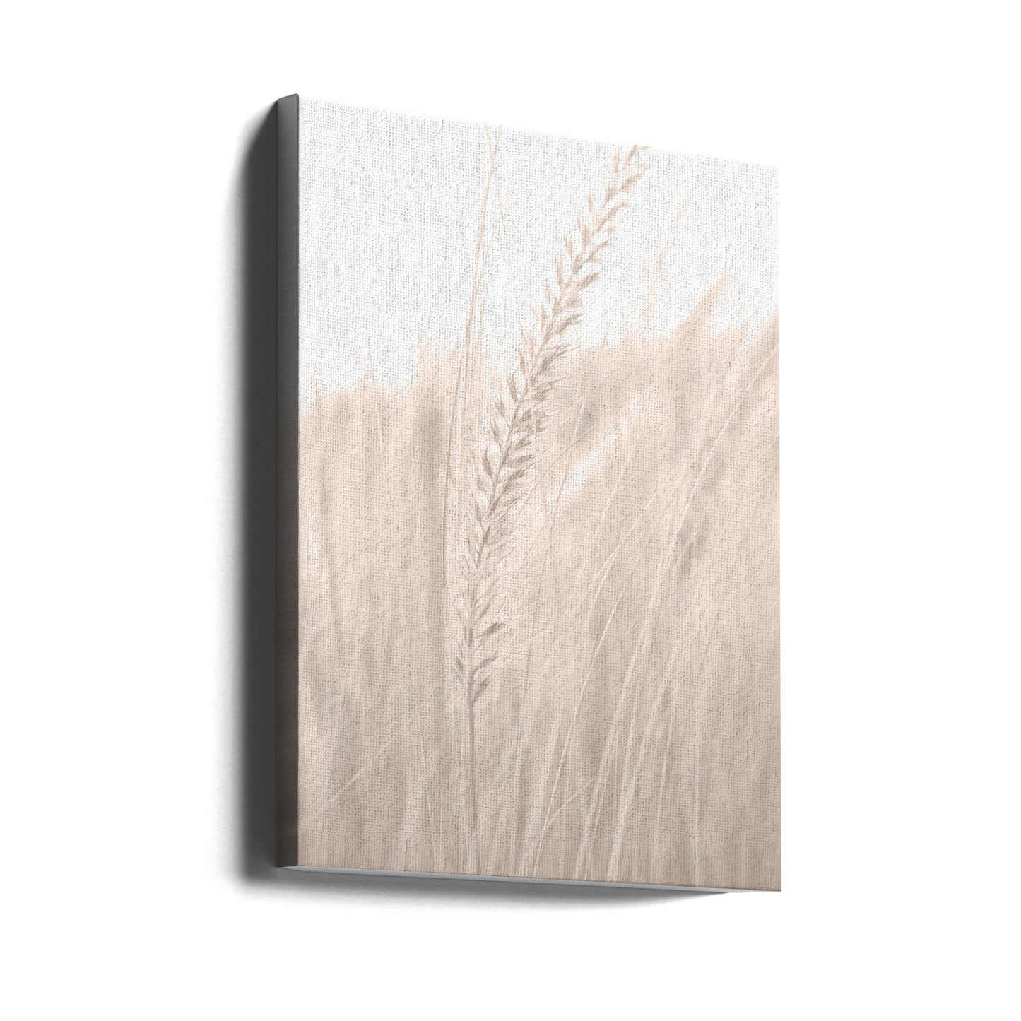 Gras_001 | Leinwand-Bilder