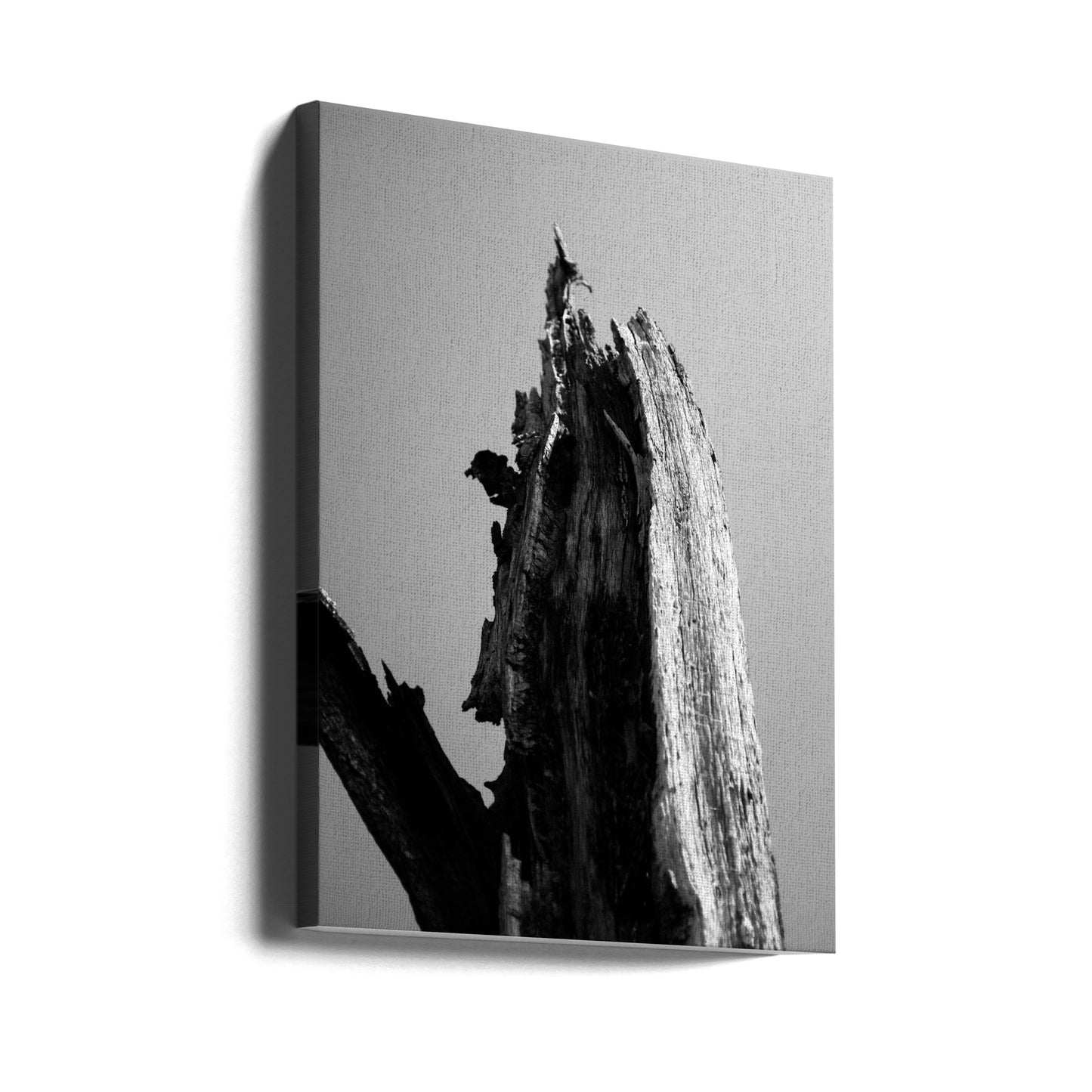 Zones humides 1 | Tableaux sur Toile
