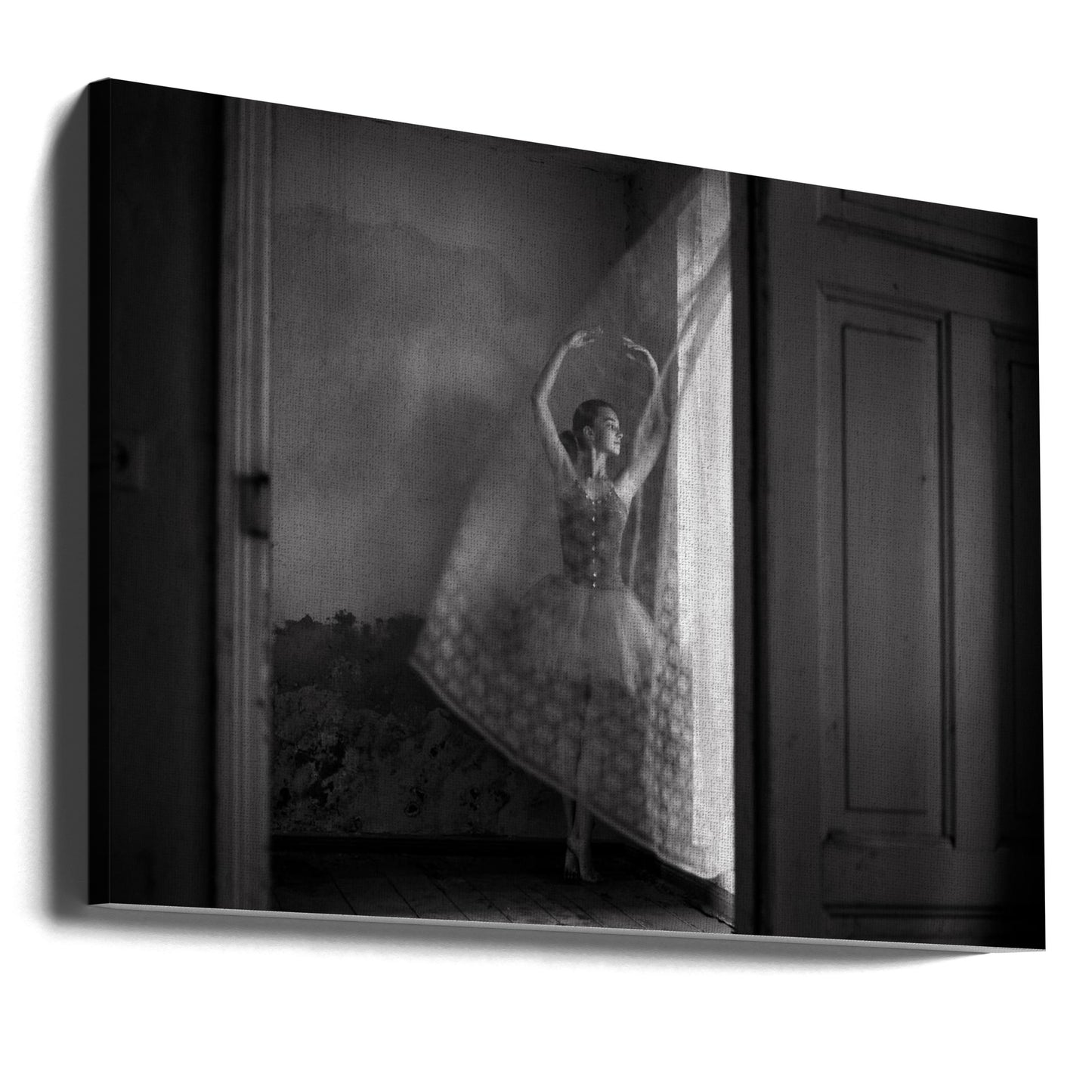 Untitled | Canvas
