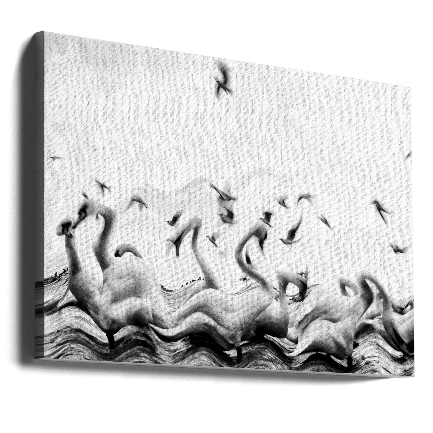 Olas de cisnes | Impresiones en Lienzo