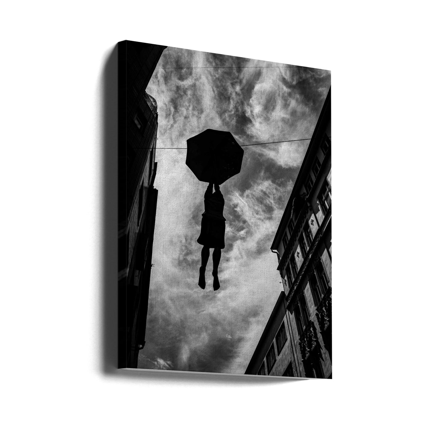 Roikkuen siellä | Canvastaulut