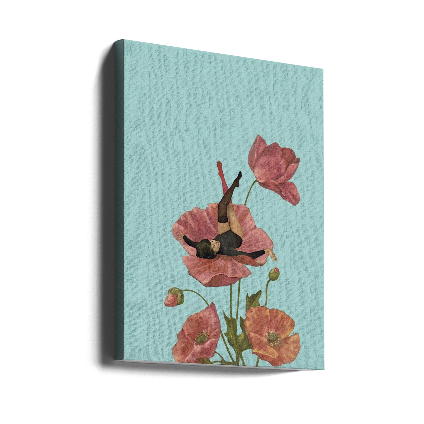 Bunter Träumer | Leinwand-Bilder