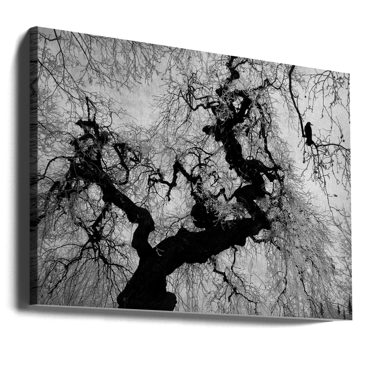 Si en un día de invierno | Impresiones en Lienzo