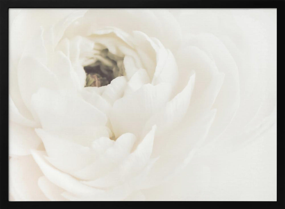 White Flower 02 | Poster