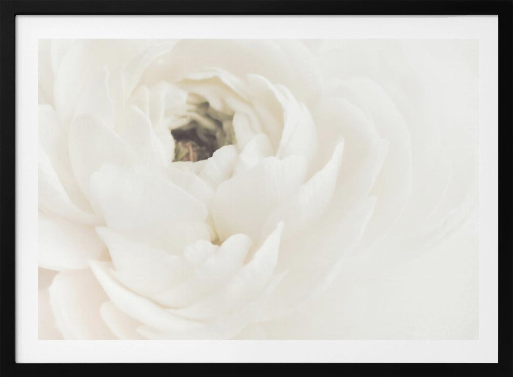 White Flower 02 | Poster