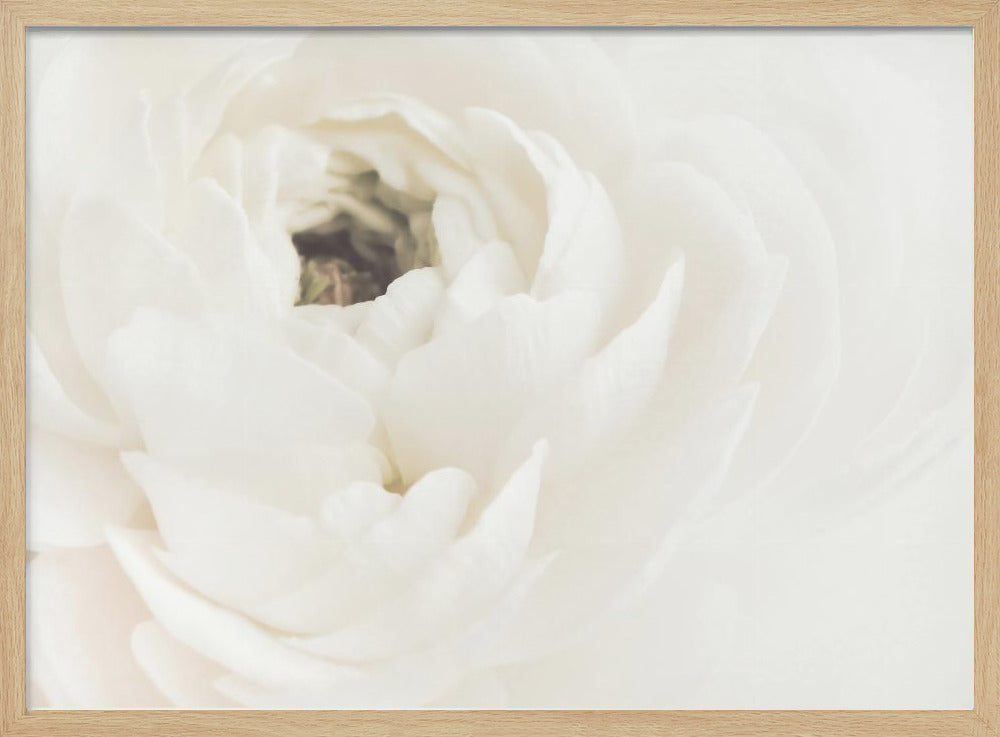 White Flower 02 | Poster