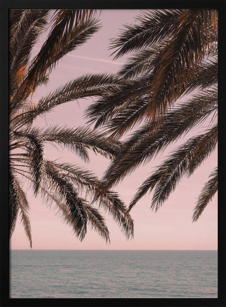 Palm_011 | Poster