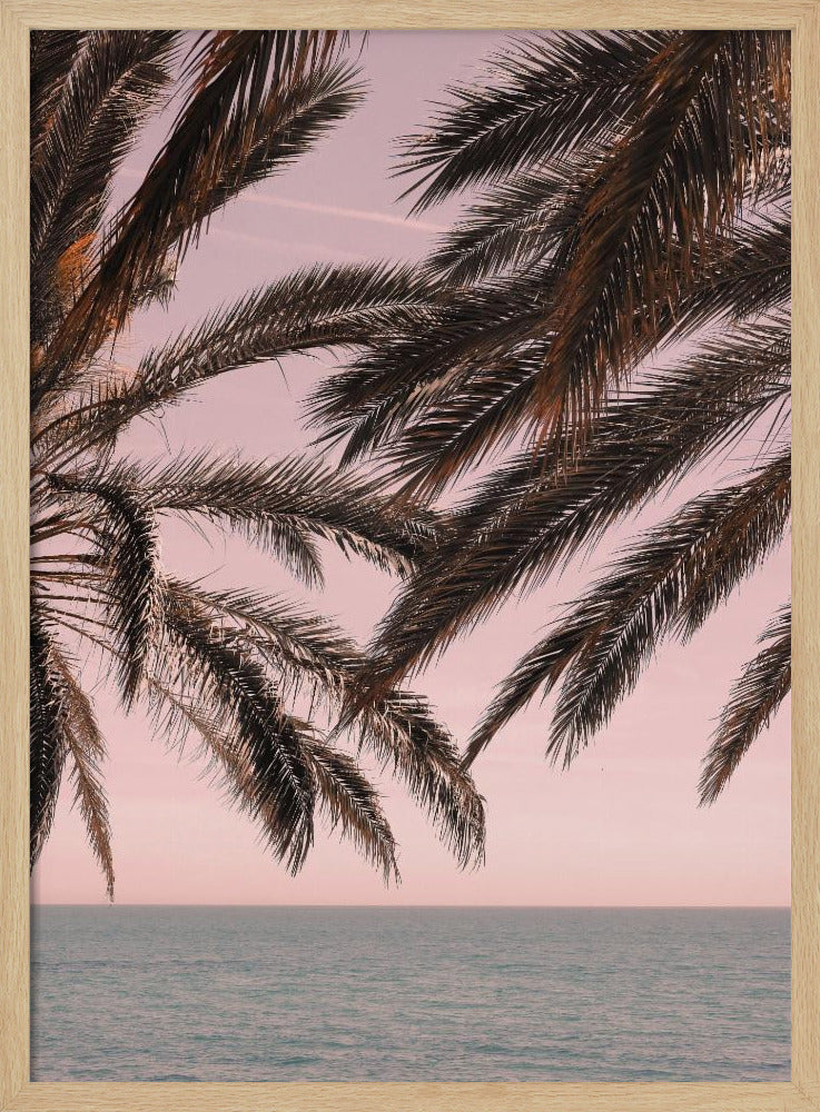 Palm_011 | Poster
