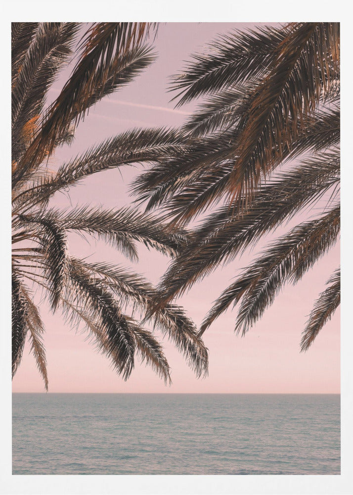 Palm_011 | Poster