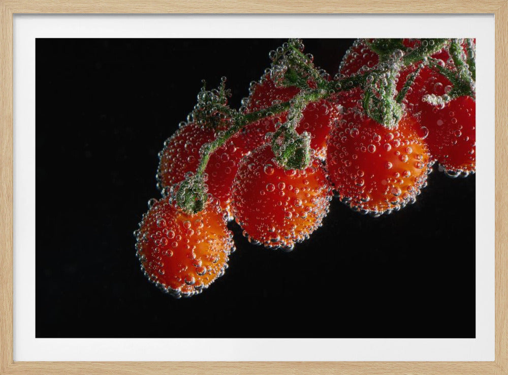 Tomaattia | Julisteet - Taidevedokset