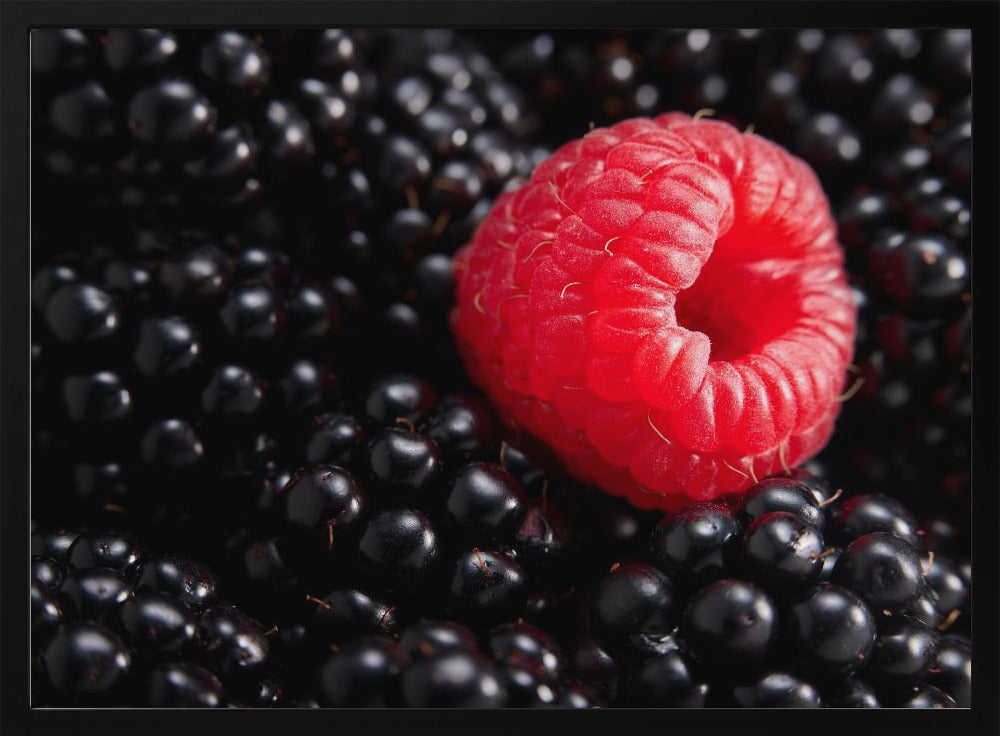 Marja erilainen | Julisteet - Taidevedokset