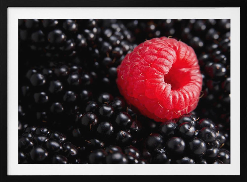 Beerig anders | Poster - Kunstdruck
