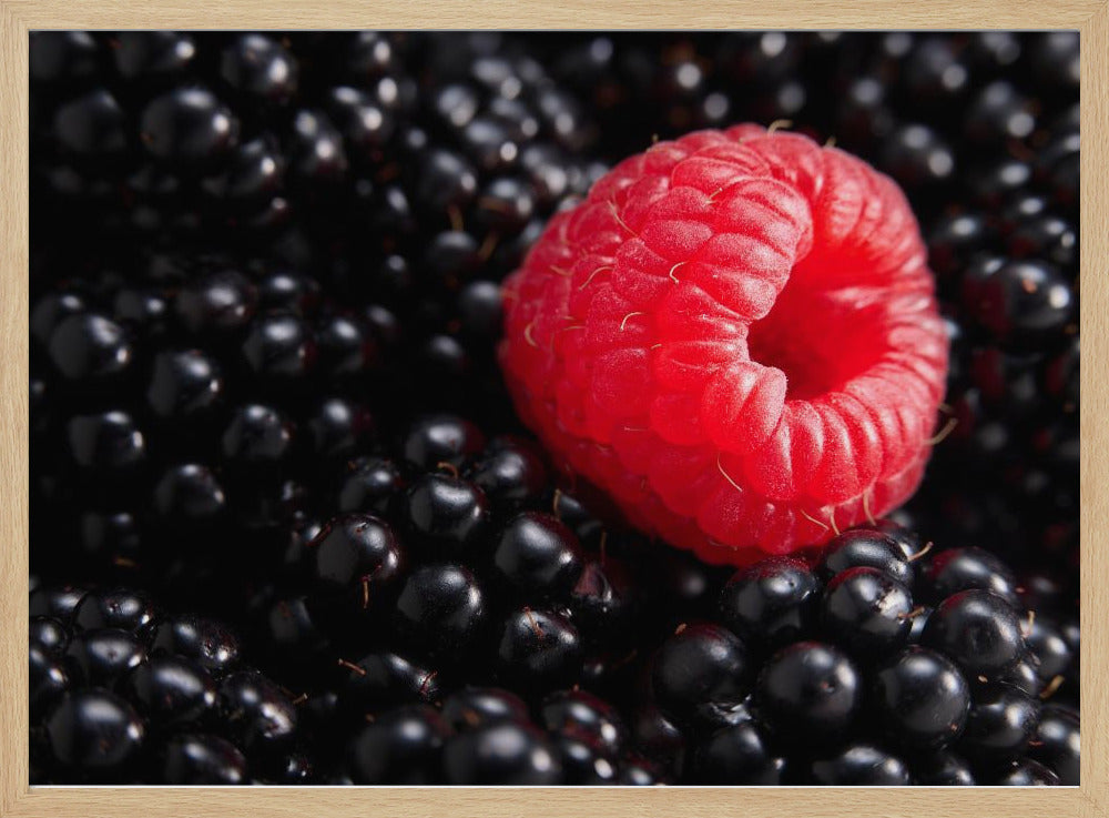 Marja erilainen | Julisteet - Taidevedokset