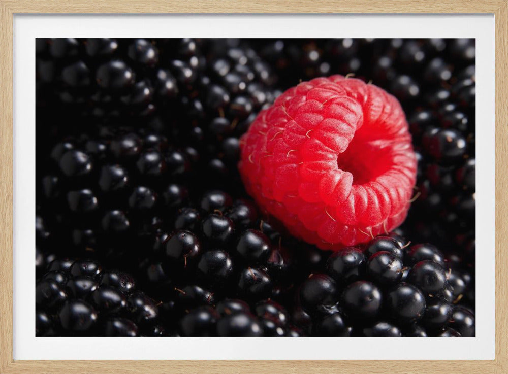 Marja erilainen | Julisteet - Taidevedokset