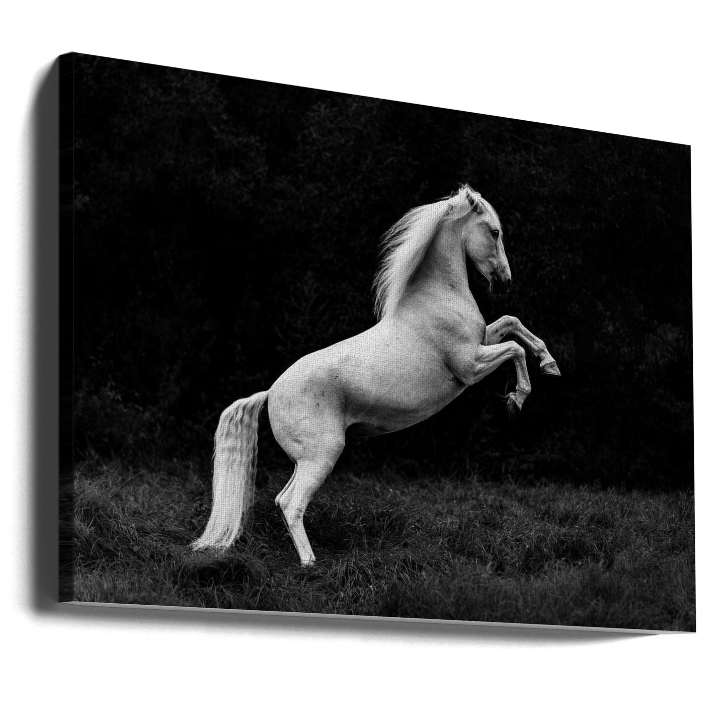 una historia corta de una brizna de hierba en un casco | Impresiones en Lienzo