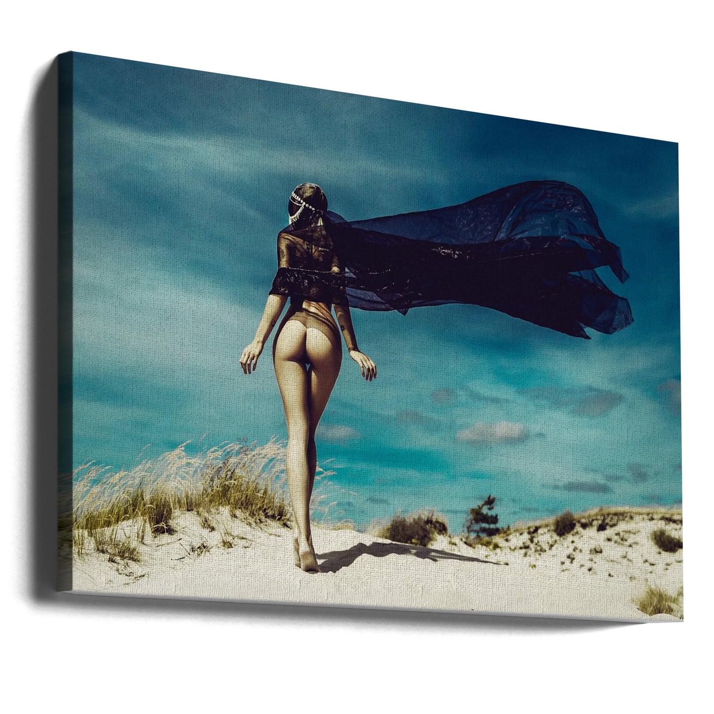 Dyynien emäntä | Canvastaulut