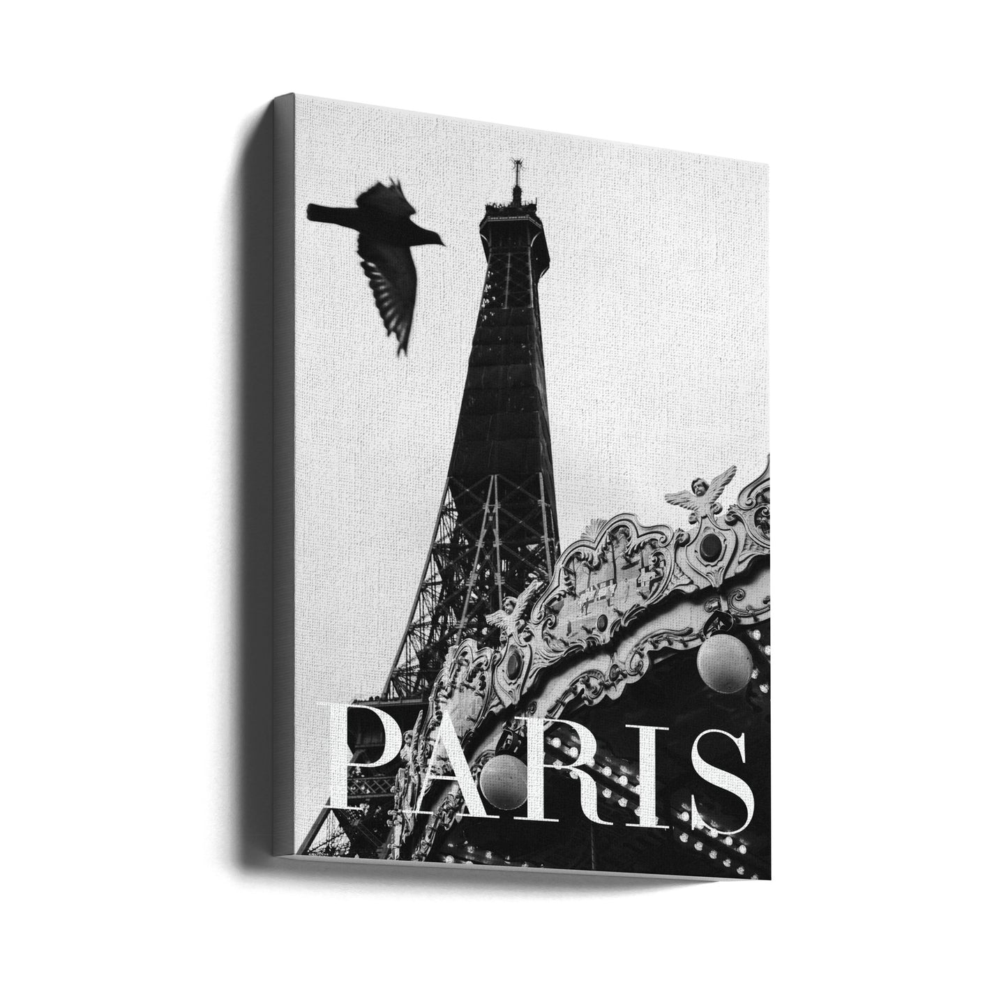 Paris Dove | Canvas