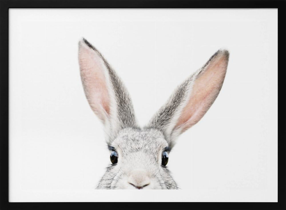 Guckender Hase | Poster - Kunstdruck