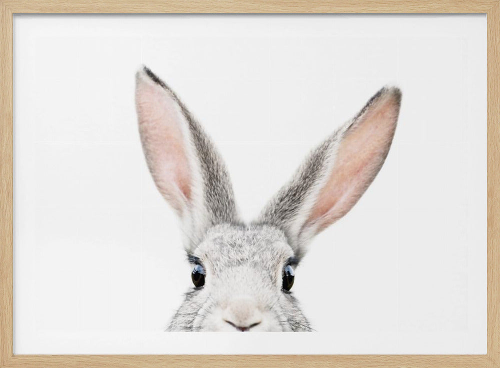 Guckender Hase | Poster - Kunstdruck
