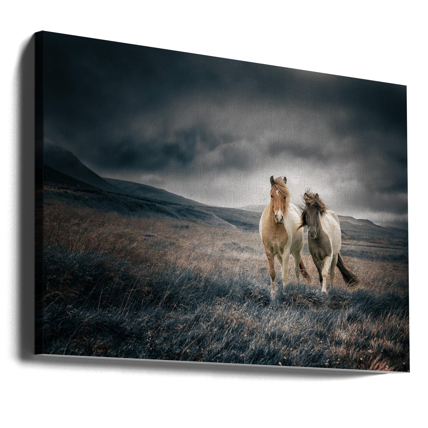 Die Brüder | Leinwand-Bilder
