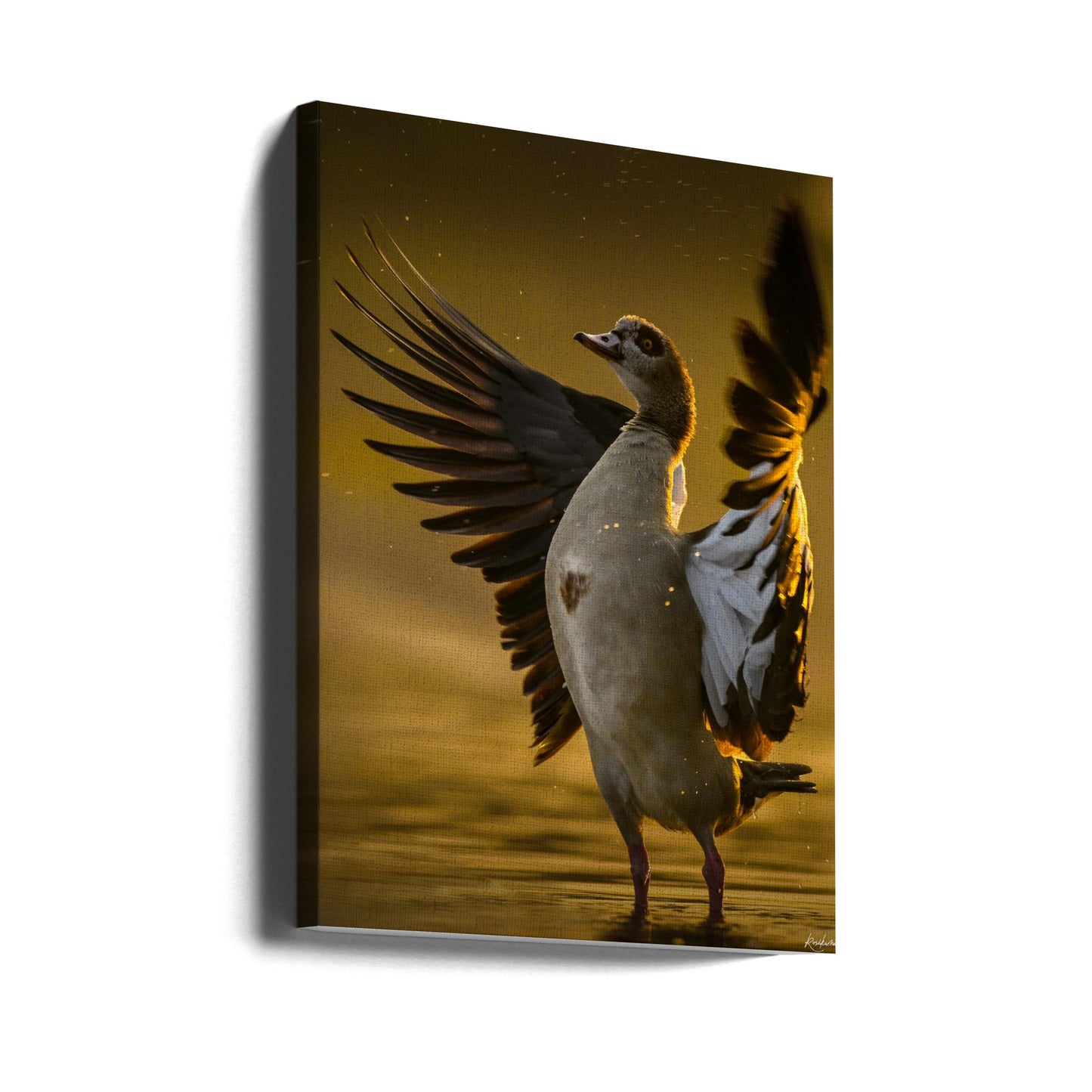 Corazón abierto | Impresiones en Lienzo