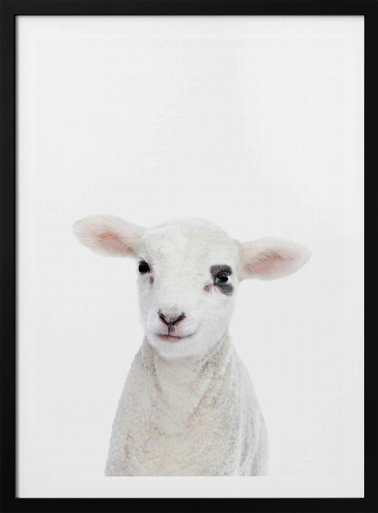 Lammunge | Poster