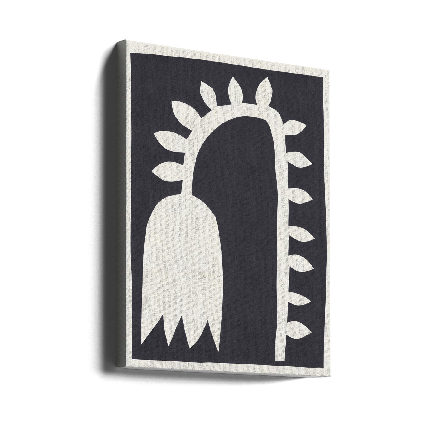 Schwarze Tulpe Nr. 2 | Leinwand-Bilder