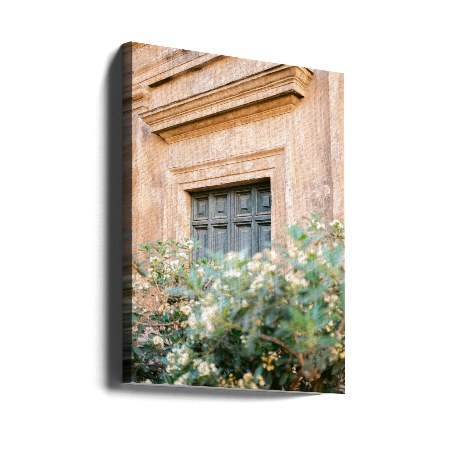 Botanisches Trastevere Rom | Leinwand