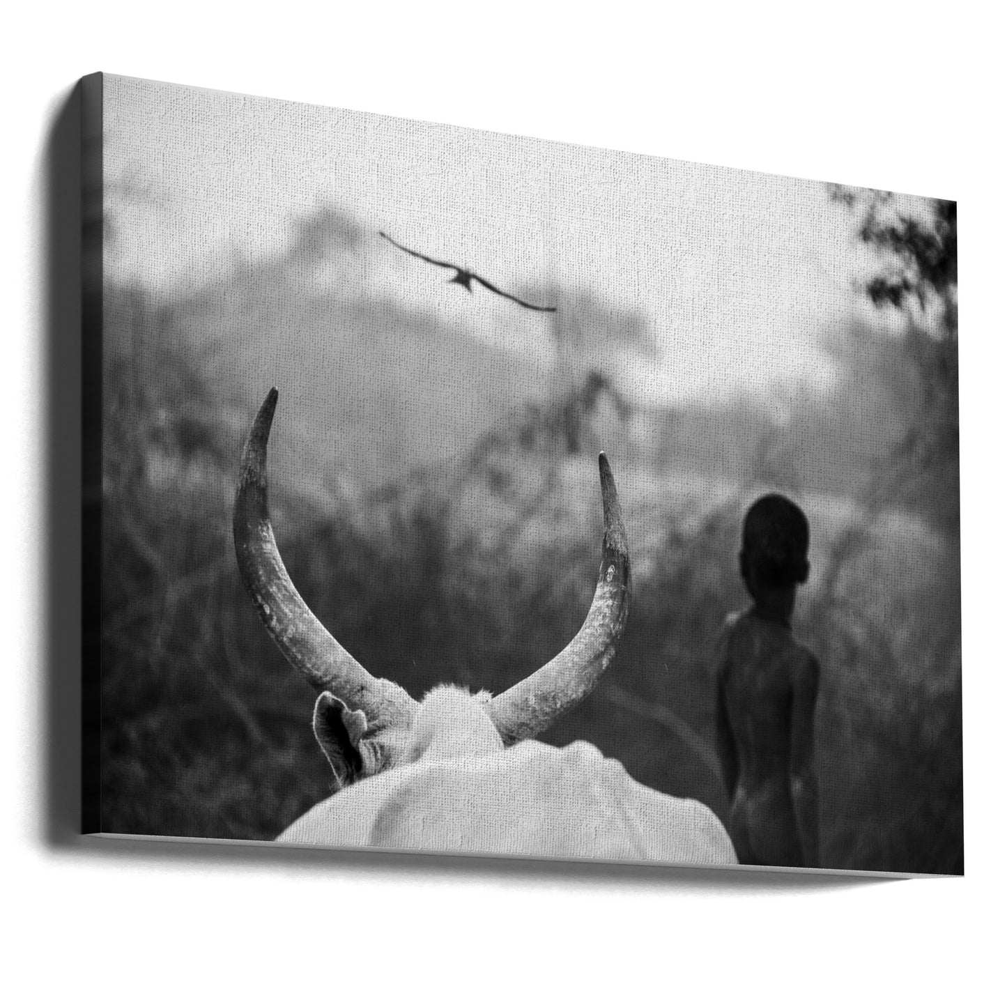 Niño y vaca | Impresiones en Lienzo