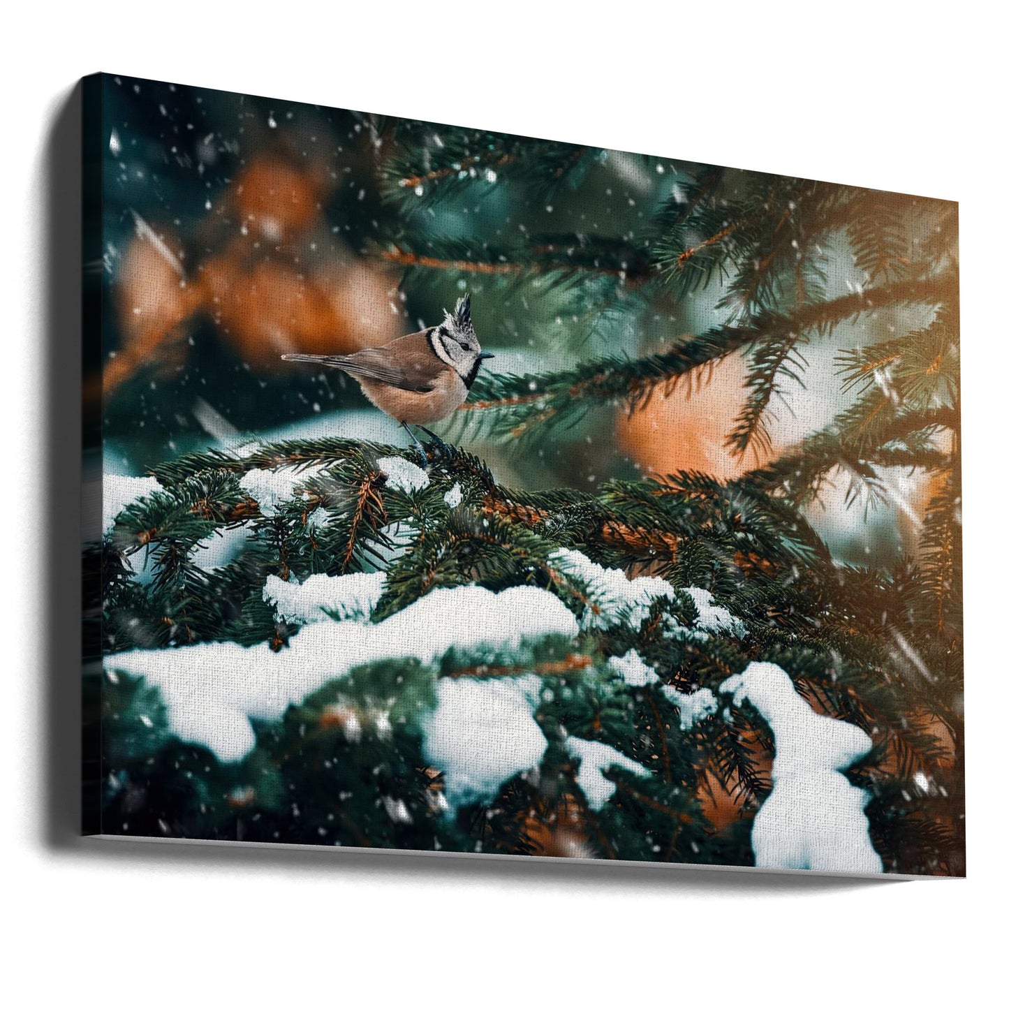 Punkig | Leinwand-Bilder