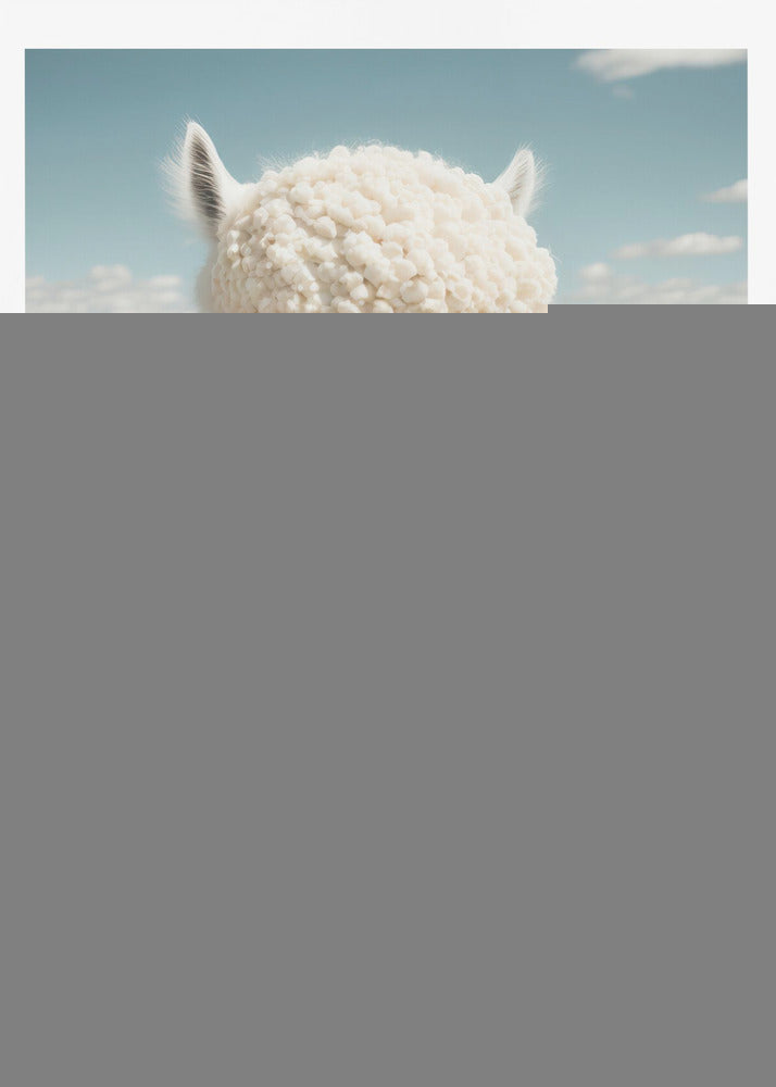 Llama in Bloom | Poster