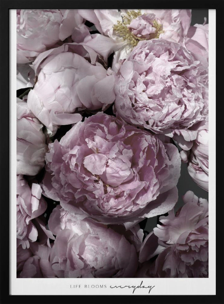 Life blooms everyday peonies | Poster