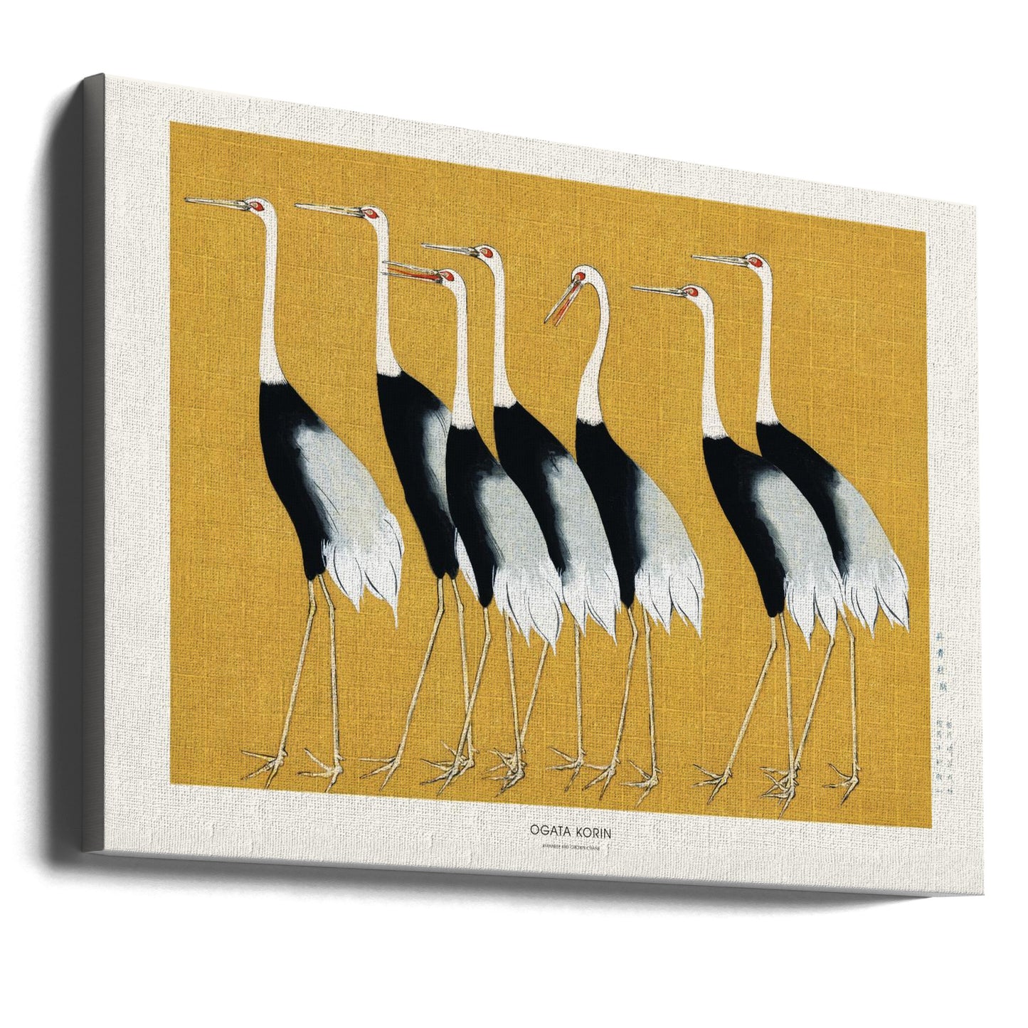 Żuraw koronowany japoński | Wydruki na łótnie